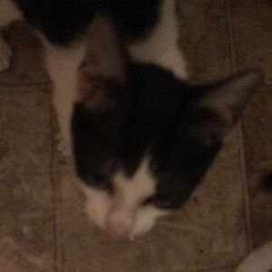 Meet your Posher, Nina